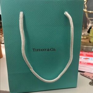 Tiffany & Co. Blue Gift (Shopping Bag only)